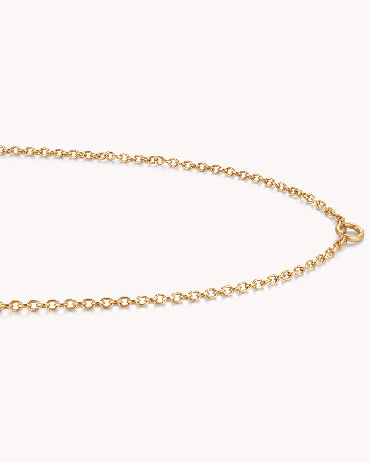 Large Cable Chain Gold Necklace with Circle Annex Link — 3