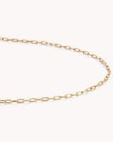 Colossians 3:14 Love Binds Gold Small Link Chain Necklace — 7